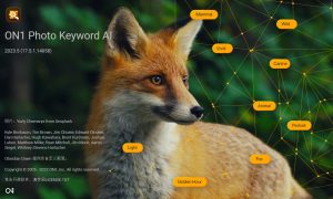 图像管理工具 ON1 Photo Keyword AI 2023 v17.5.1 破解版