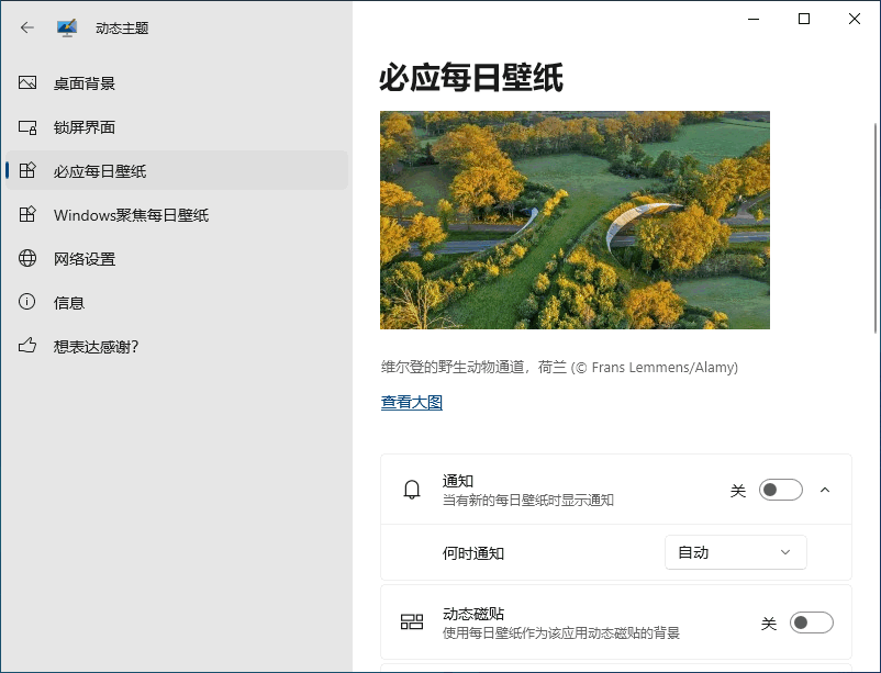 Windows 动态主题 Dynamic Theme 1.7.86.0 中文多语免费版