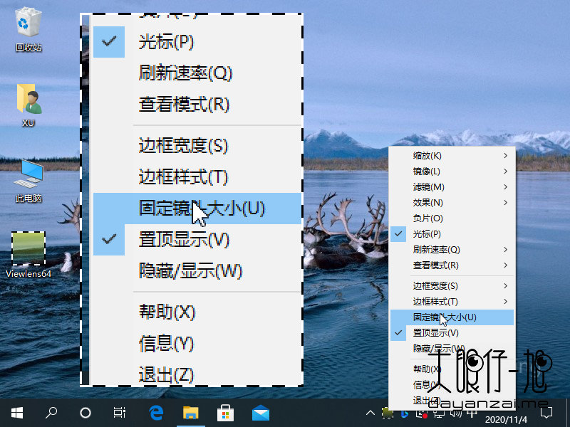 Windows 增强放大镜工具 Viewlens 4 + x64 中文多语免费版